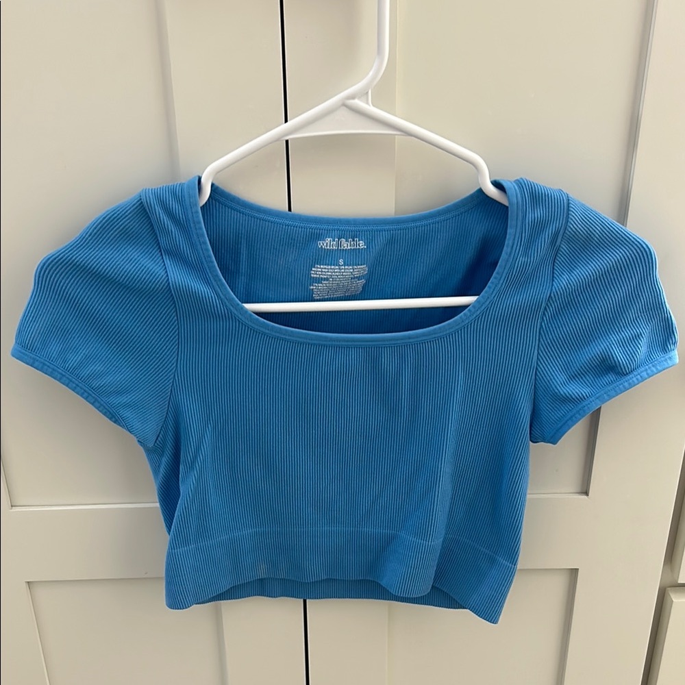 Wild Fable Blue Fitted Crop T-Shirt